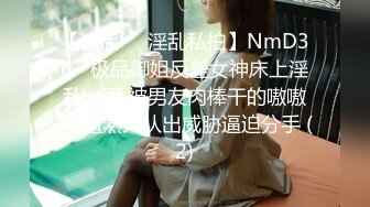 【情侣❤️淫乱私拍】NmD3c✨ 极品御姐反差女神床上淫乱一面 被男友肉棒干的嗷嗷叫 遭熟人认出威胁逼迫分手 (2)