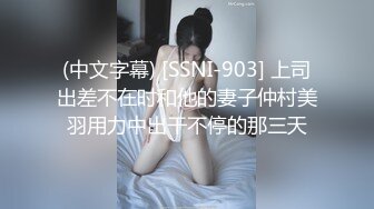 (中文字幕) [SSNI-903] 上司出差不在时和他的妻子仲村美羽用力中出干不停的那三天