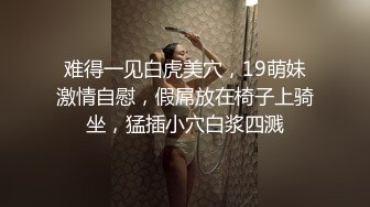 女会计