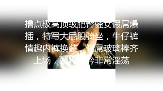 高颜值气质少妇 mari wam onlyfans露脸私拍 反差美人妻沉沦精液地狱3