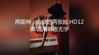 两面神：欲望的两张脸.HD1280高清韩语无字