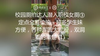 校园厕拍达人潜入职校女厕③ 定点全景偸拍，超多学生妹方便，各种浑圆大屁股，双洞看的清楚 (1)