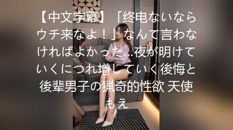 高级注册会计师老婆的发情日常