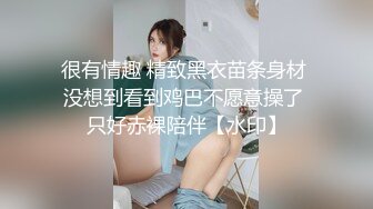 公司女同事下班后酒店开房打炮