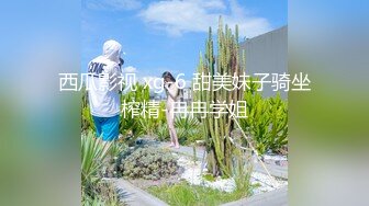 蜜桃传媒PMC079淫荡小姨子无套强上新姐夫