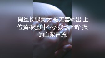 国产麻豆AV MD MD0158 怪奇物语之椅子小姐 人物恋的奇妙性爱 夏晴子