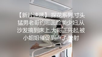 母狗py后入集锦