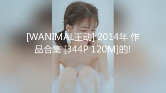 [WANIMAL王动] 2014年 作品合集 [344P 120M]的!