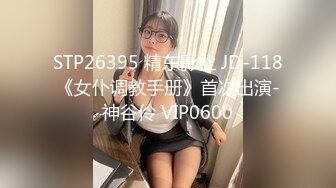 性感高挑的腿模美女被小偷威胁