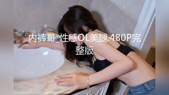 内裤哥_性感OL美腿.480P完整版