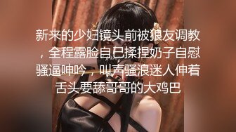 花臂纹身大奶美少妇  撩起衣服露奶子  舔屌口交翘起大屁股  后入撞击抬腿侧入猛操