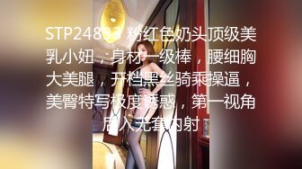 紅斯燈影像 RS022 巨乳妹搭上性愛巴士