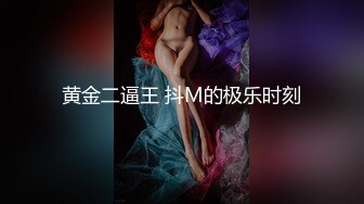 黄金二逼王 抖M的极乐时刻