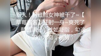 私人定制VIP炮机和大鸡巴一起操模特哪个更爽720P高清无水印