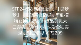 极品秘书系列豪华公寓落地窗前后入OL制服装豪乳女秘书