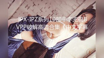  IPX-IPZ系列10部中字无码BVPP破解高清合集《中文字幕》