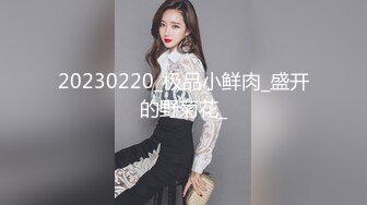 【换妻探花】32岁D罩杯良家夫妻，第二炮，骚货欲望强烈，花式啪啪浪叫不但，交换温柔共享鱼水之欢，人气登顶精彩绝伦