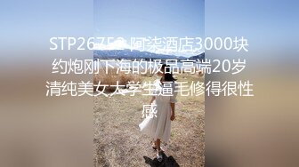 HEYZO 1267 石川しずかのパイでズッてあげる！ – 石川しずか