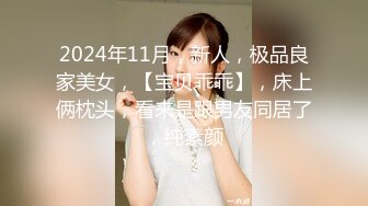 【阿瓈】流出绝美女神单套私拍50美金，肤白貌美，馒头穴白虎，明星颜值超清画质佳作 (1)