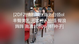 [2DF2]情趣黑丝商务白领ol 丰臀美乳 无套后入抽插 臀浪阵阵 高清1080p [BT种子]