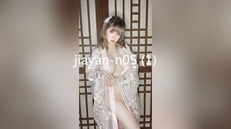 jiayan-n05 (1)