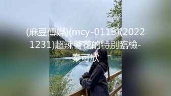 (麻豆傳媒)(mcy-0119)(20221231)超辣警花的特別臨檢-秦可欣