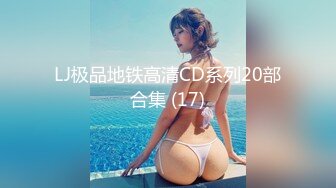 LJ极品地铁高清CD系列20部合集 (17)