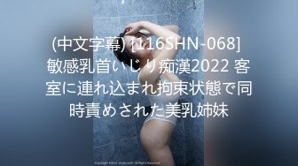 (中文字幕) [116SHN-068] 敏感乳首いじり痴漢2022 客室に連れ込まれ拘束状態で同時責めされた美乳姉妹