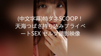 (中文字幕)特ダネSCOOP！天海つばさ持ち込みプライベートSEX セルフ撮影映像