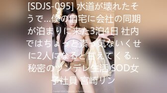 [SDJS-095] 水道が壊れたそうで…僕の自宅に会社の同期が泊まりに来た3泊4日 社内ではちょっと素っ気ないくせに2人になると甘えてくる…秘密のツンデレ生活 SOD女子社員 宮崎リン