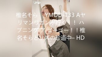 椎名そら ⨯ YMDD-133 Aヤリマンワゴンが行く！！ ハプニング ア ゴーゴー！！椎名そらとリズの珍道中– HD