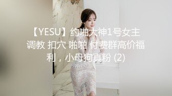 【YESU】约啪大神1号女主 调教 扣穴 啪啪 付费群高价福利，小母狗真粉 (2)